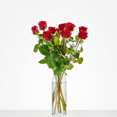 rode rozen (1)